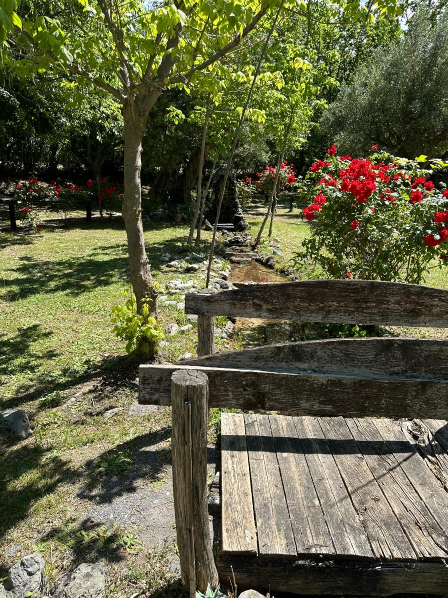 Ciclopark Morano Calabro Exterior foto